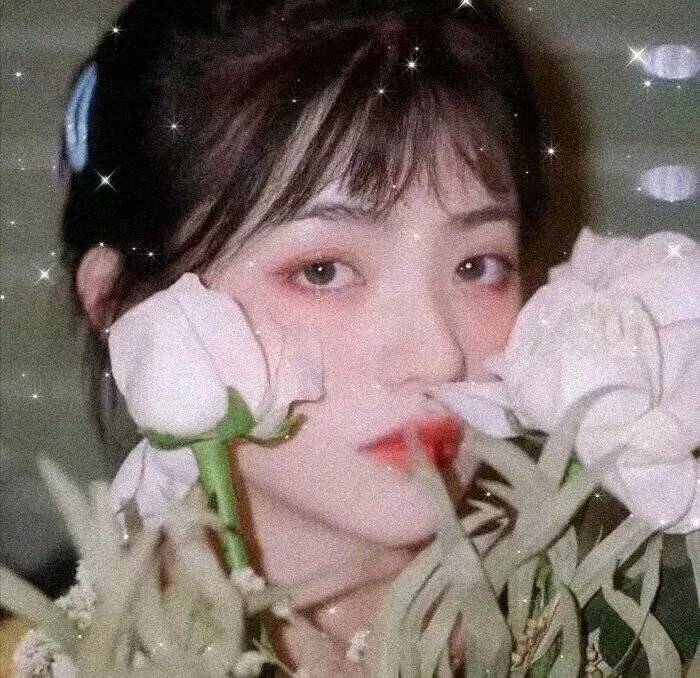 亲爱的客栈第一季
